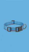 Blue Adjustable Dog Collar