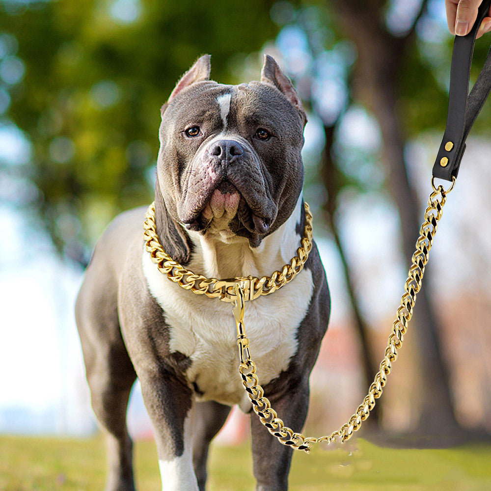 19mm Golden Stainless Steel Titanium Dog Leash – Petmasters