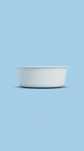 Stainless Steel Cat Bowl White Finish