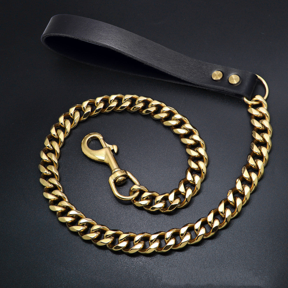 19mm Golden Stainless Steel Titanium Dog Leash – Petmasters